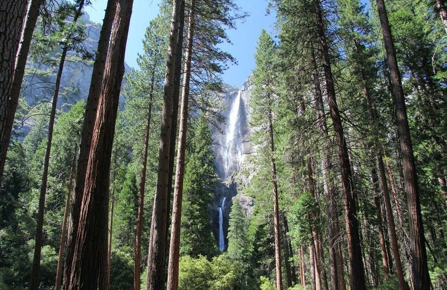 Thác Yosemite (California)